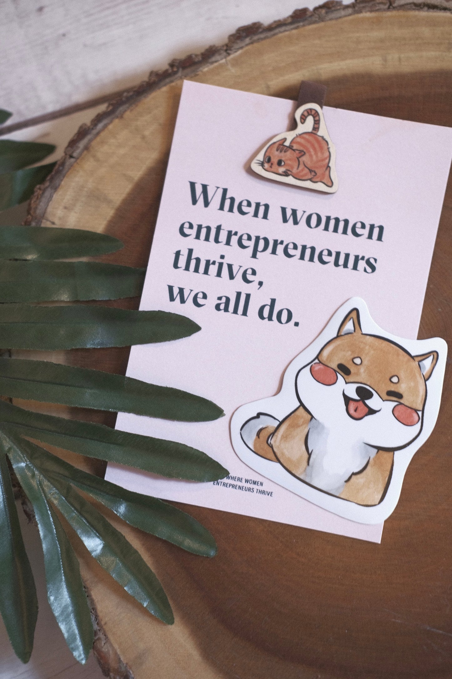 Raccoon Vinyl Waterproof Sticker