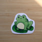 Frog Vinyl Waterproof Sticker