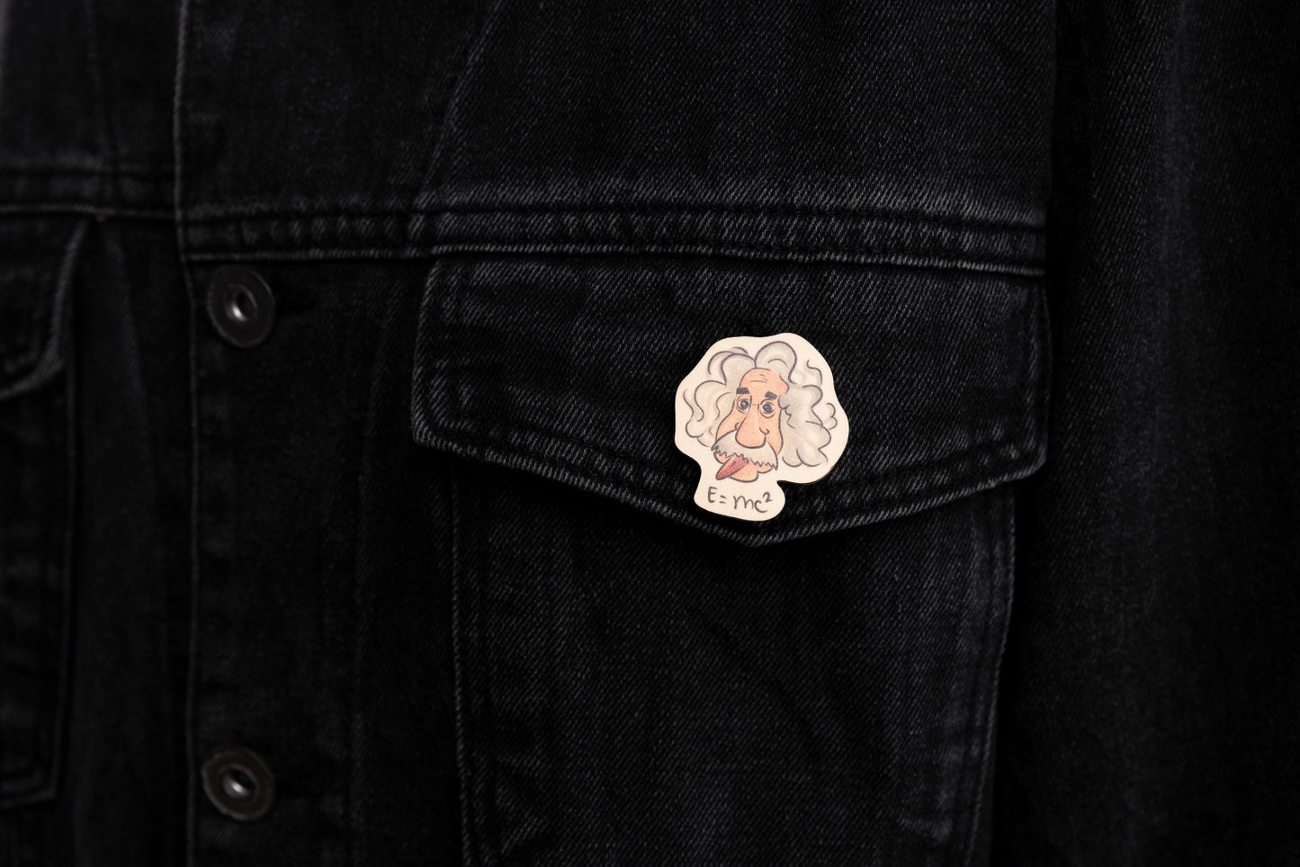 Einstein Fashion Pin