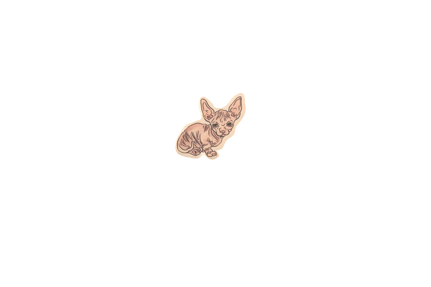 Sphynx Cat Fashion Pin